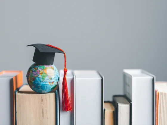 Masters in Management Studies: An Overview
