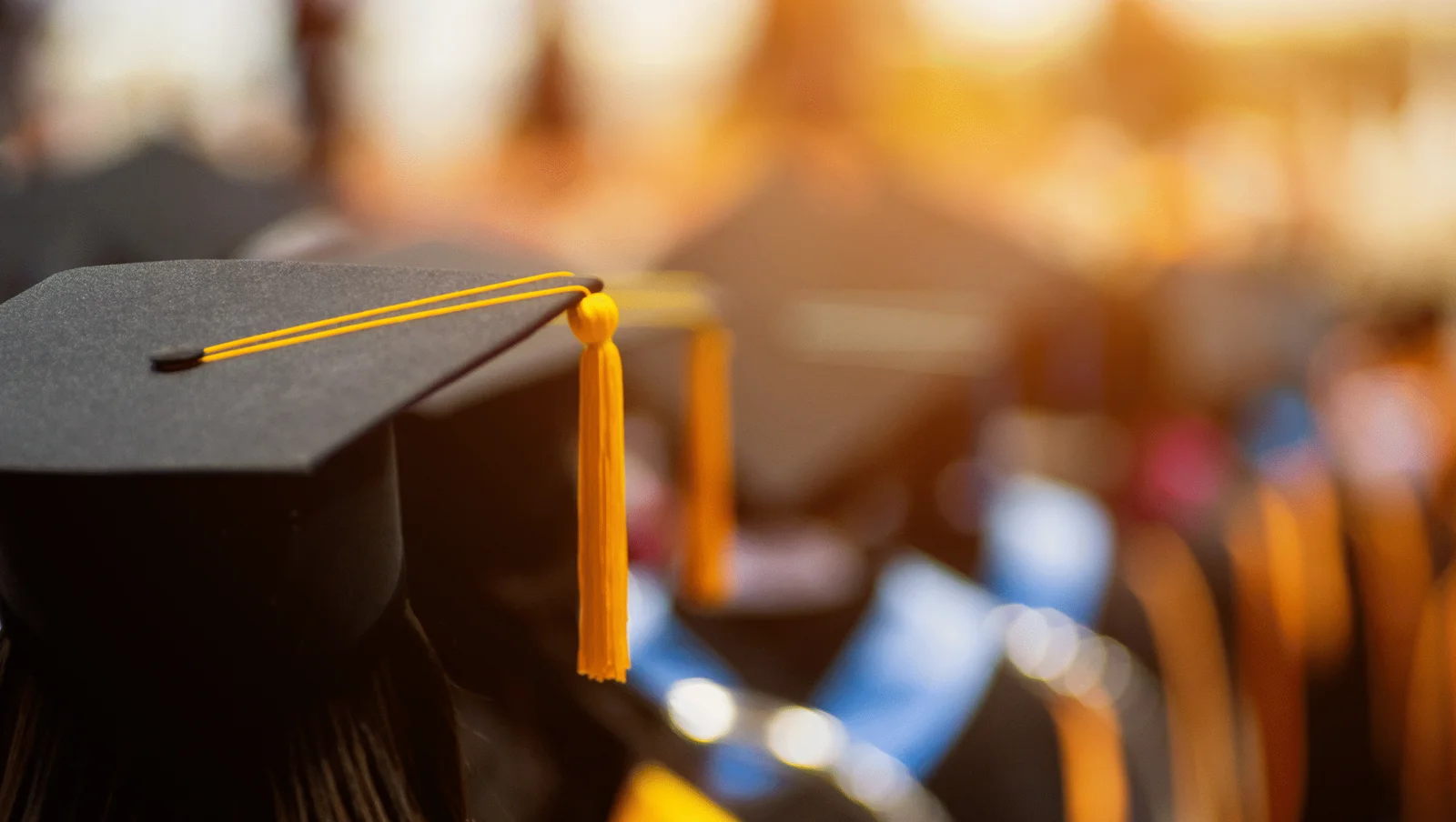 What Employers Really Think of MBA Graduates in 2025